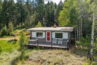 Uncle Rick's Cabin - Pike National Forest, Colorado - 5