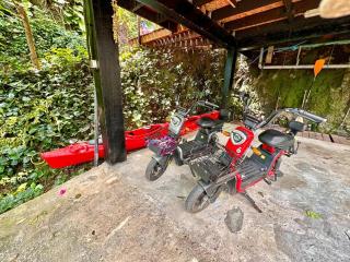 Te Ava Iti Bungalows Beach Access, Kayaks, and Bikes - 5