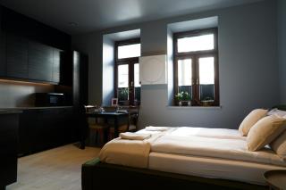 Wawel Castle Apartment FREE PARKING by CityBeat - 8