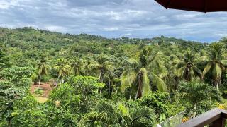 Villa Coconut - 6