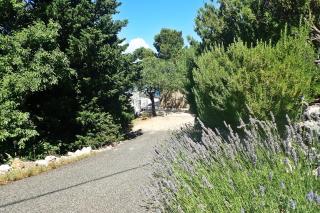 Apartments by the sea Baric Draga, Karlobag - 25516 - 1