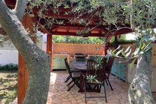 Family-friendly apartments with swimming pool Novigrad - 25170 - 2