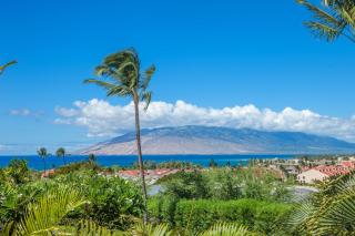 Maui Kamaole #L-202 Full Ocean View, Full A/C, Great Location, Great Rates - 6