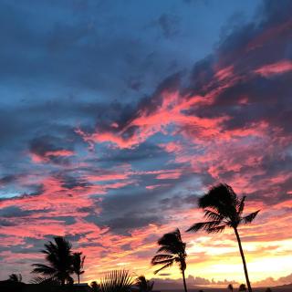 Maui Kamaole #L-205 Oceanview Kihei Vacation Rental, Full A/C, Great Location - 8
