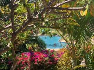 Maui Kamaole #K-204 Fully Renovated, Steps to the Pool, Kamaole III Beach - 4