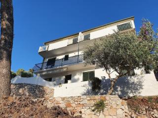 Apartments by the sea Jelsa, Hvar - 25835 - 8
