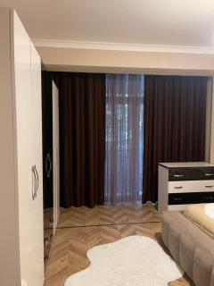 Spacious Modern 2BR Apartment at Artificial Lake Park - 9