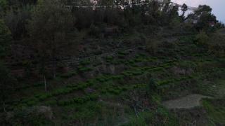 ES Deurali Resort - 8