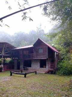 Bosque de Niebla - 8