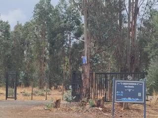 Mini Regugio - 6