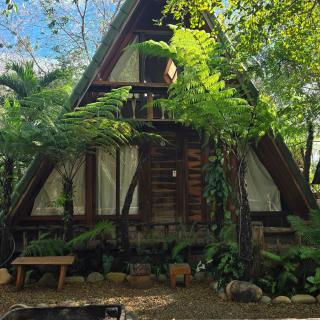 tropical garden homestay - 2