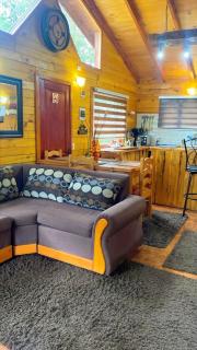 Cabaña Casa Victoria con Bosque,Río & Starlink Internet - 5