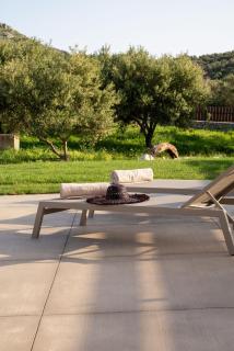 Vedema Homes - 8