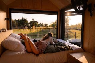 Fonneuve Les Crins - Parcel Tiny House - Tiny House entourée par les chevaux à 45mn de Toulouse MAE-5113 - 0
