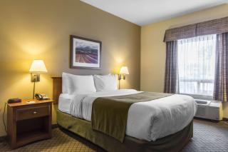Quality Inn Airport - 2