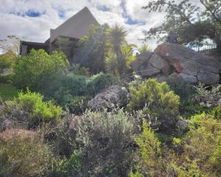 Unpretentious peaceful Cottage - 6