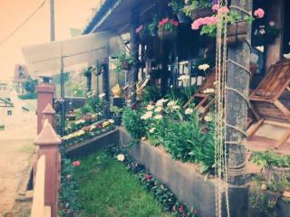 Celonya Wooden Resort - 3