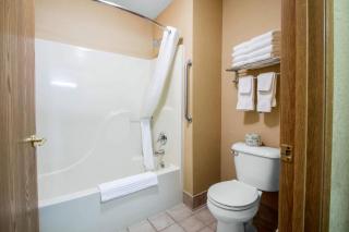 Comfort Suites Wisconsin Dells Area - 2