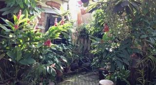 Baan Pim - 1