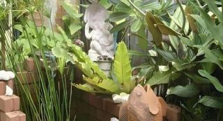 Baan Pim - 2
