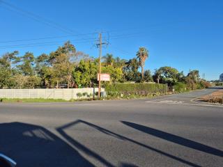 Aspidistra Self-Catering - 3