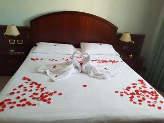 Venice Palace Hotel - Mirano - 9