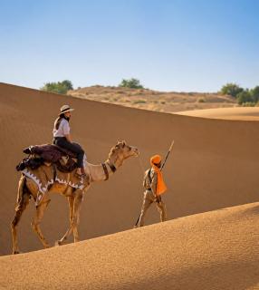 Desert cactus camp Jaisalmer - 6