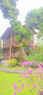 VANAYA wooden Lodges in Lush Garden - 9