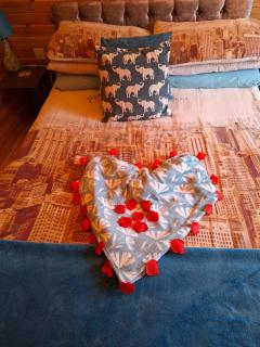 Log cabin - 9