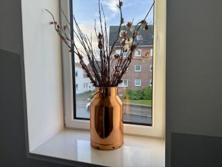 Haus Deichlust Wohnung 3 - 1