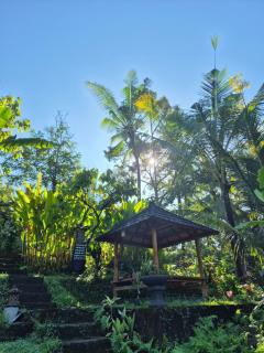 Durenne Bali Retreat- Riverside House 2 - 1