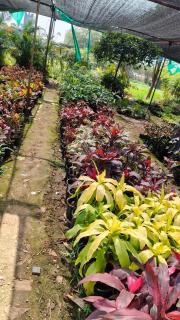 Shanti niwas - 1