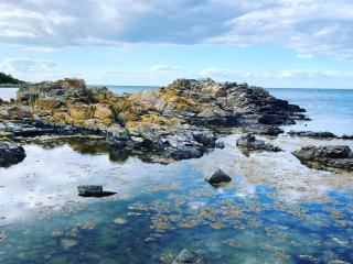 SpellingeHus - 2