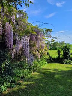 Domaine Bel Air 855 - Gîte Aire - 7