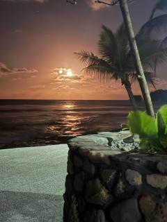 Surf Front Villa Samar - 3