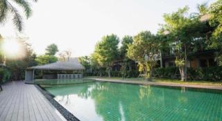 The Buffalo Amphawa - 1