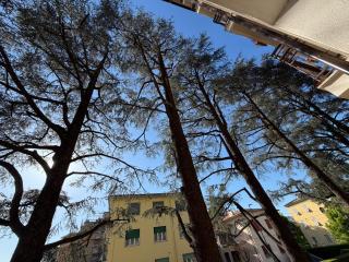 Puccini Luxury Rooms - 6