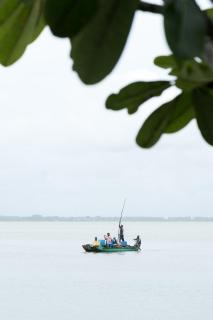 Aayu Lagoon - 3