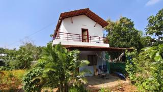 The Green Nest - 3