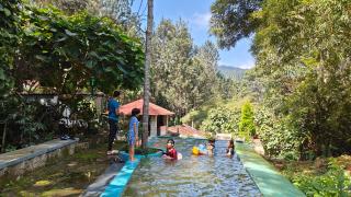 Enchanting woods Yercaud - 3