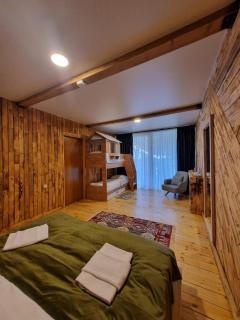 ECHIVITI Cottages in Abastumani - 2
