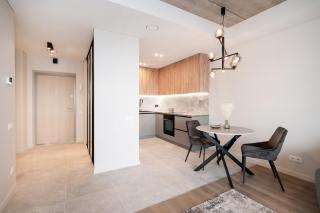 Luxury apartment near downtown - 2