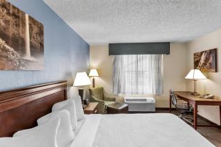 Rodeway Inn - 4