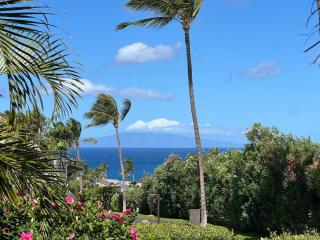 Maui Kamaole #L-105 Beautiful Ocean View, Great Location, Great Rates, A/C - 0