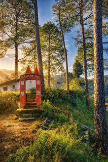 The Himalayan Heaven Homestay, Binsar - 5