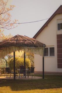 Dušanovac Panorama House - veliko dvoriste, 2 rostilja, pogled na Rasku - 5