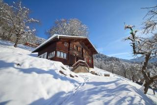 Chalet Alte Mühle - 8