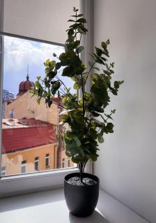Kyiv Muse Apartment - 5