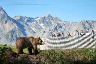 Alpin-Studio I Arosa I Schwimmbad I Sauna I Bike I Hike - 7
