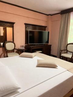 Hotel Trei Brazi - 7